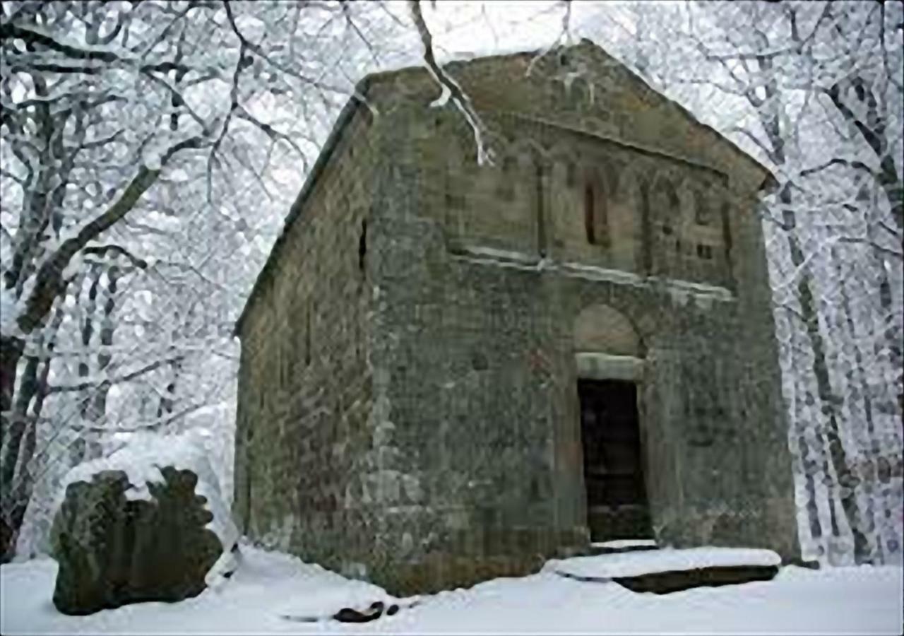 Апартаменты La Casa Di Nena Vivo d'Orcia Экстерьер фото