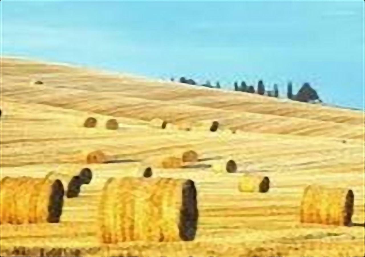 Апартаменты La Casa Di Nena Vivo d'Orcia Экстерьер фото