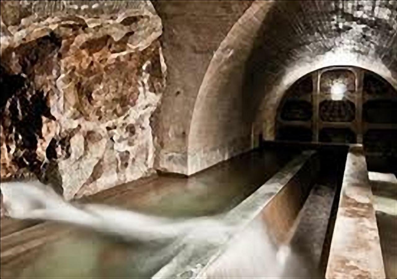 Апартаменты La Casa Di Nena Vivo d'Orcia Экстерьер фото