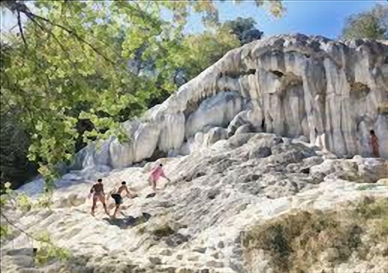 Апартаменты La Casa Di Nena Vivo d'Orcia Экстерьер фото